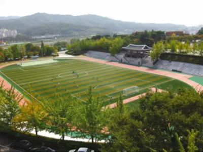 Césped sintético para fútbol