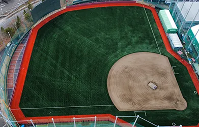 Mono-B 65 Césped artificial para béisbol