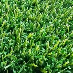 Césped sintético para fairway de golf