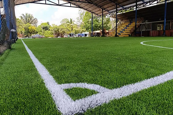 Fútbol & Fútbol americano