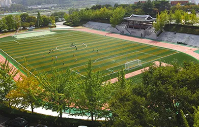 canchas de fútbol y fútbol americano
