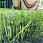 TenCate Césped sintético para fútbol